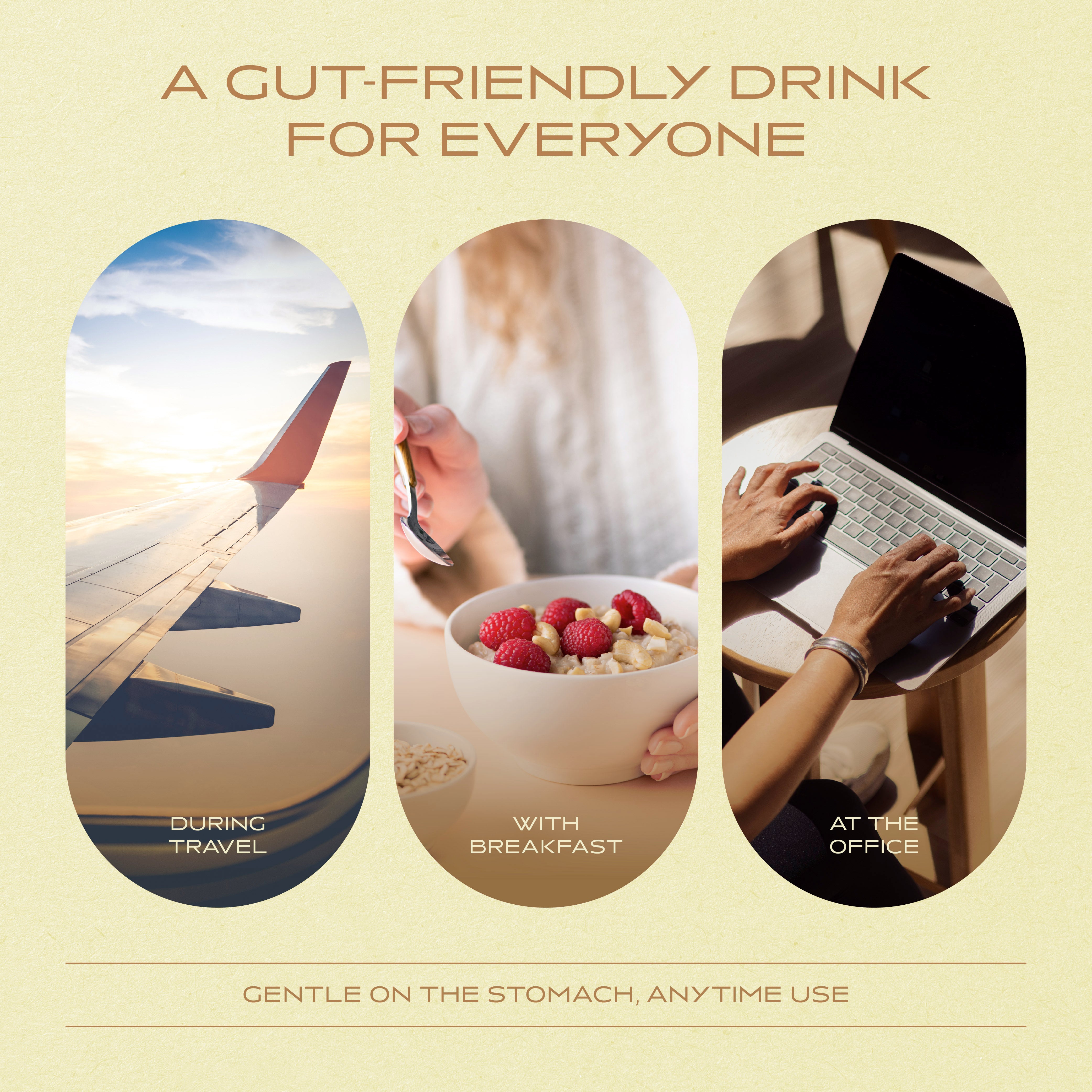 DH Digestive Health Tub 500g