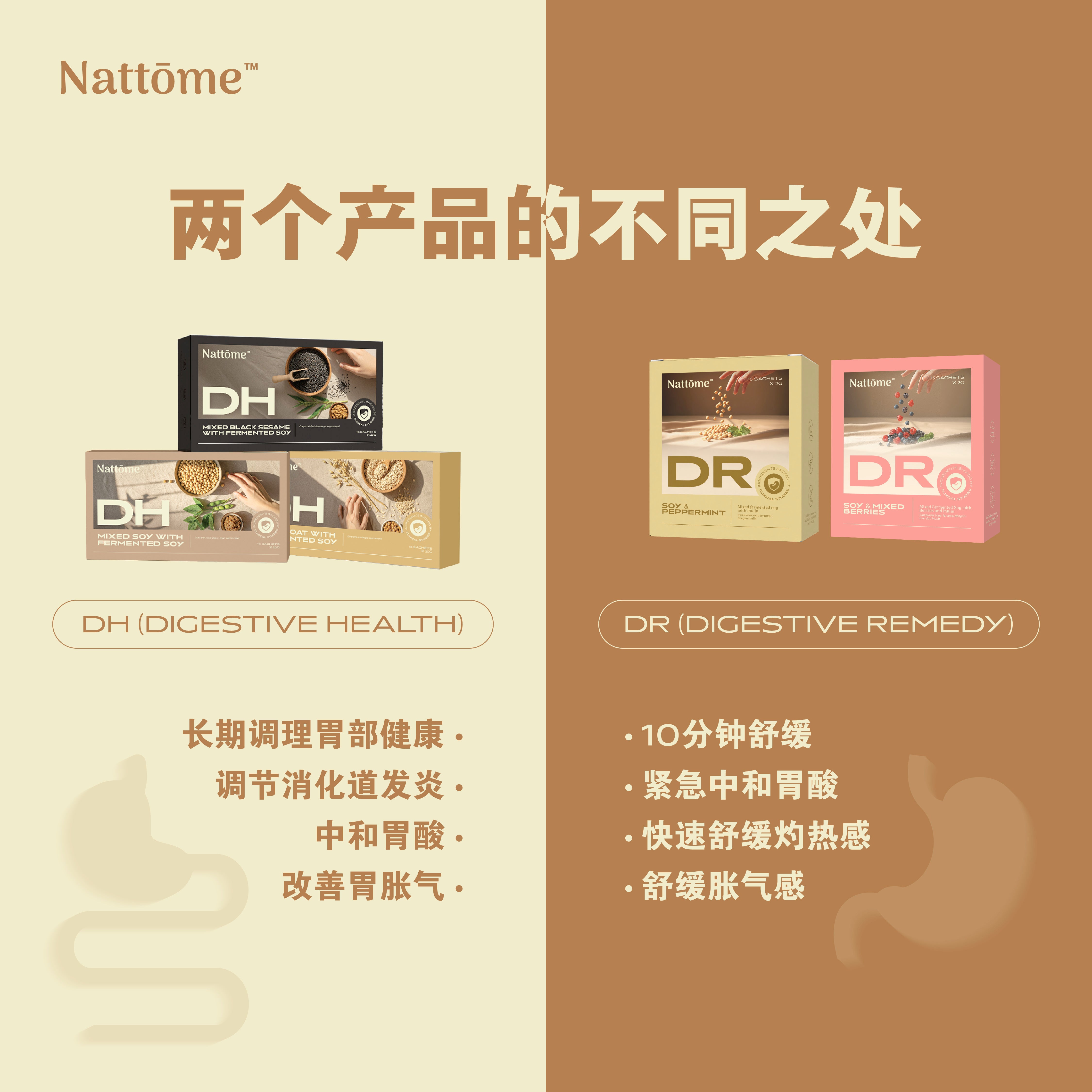 2026 NTM x 阿鱼团购 - 2盒 DH 护胃营养餐
