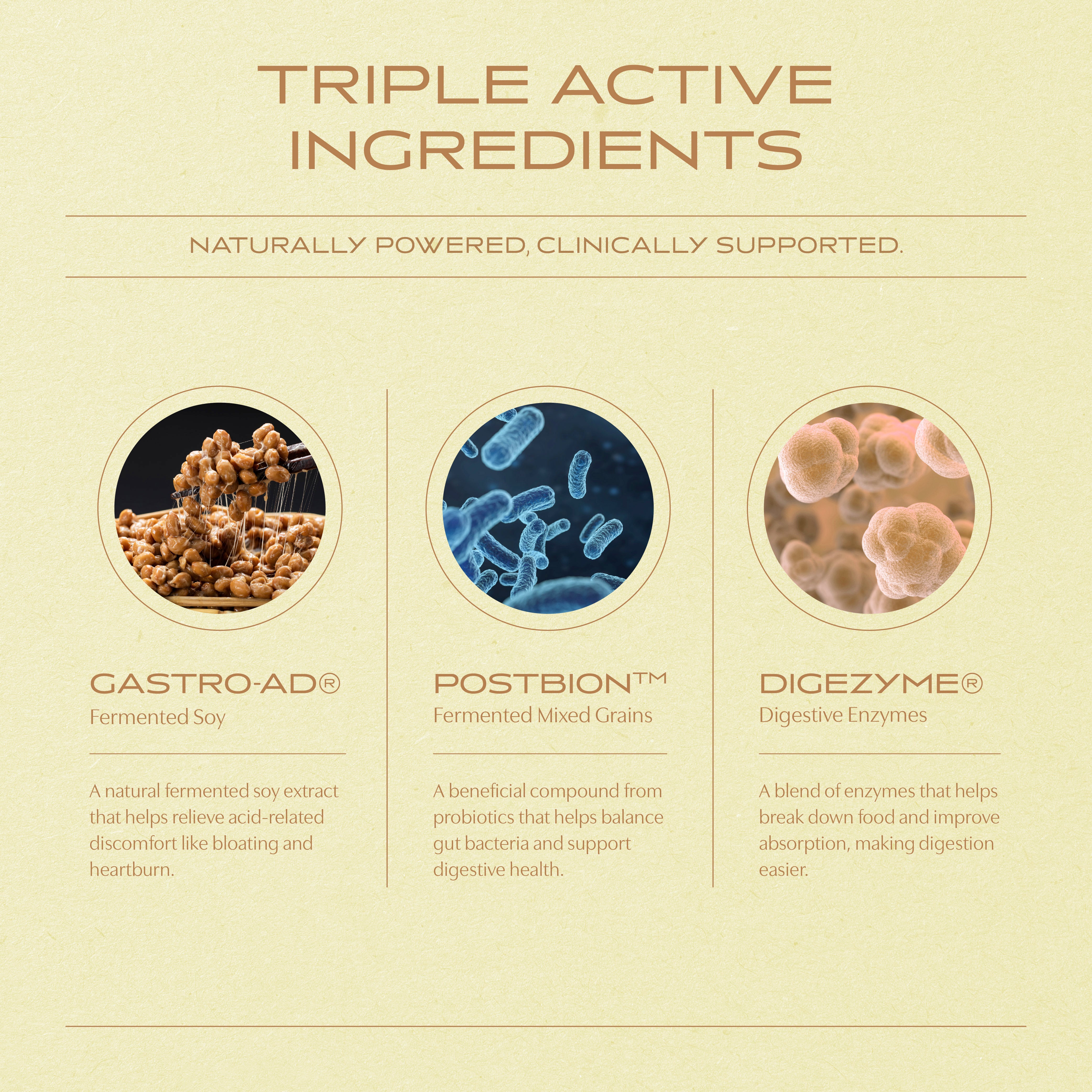 DH Digestive Health