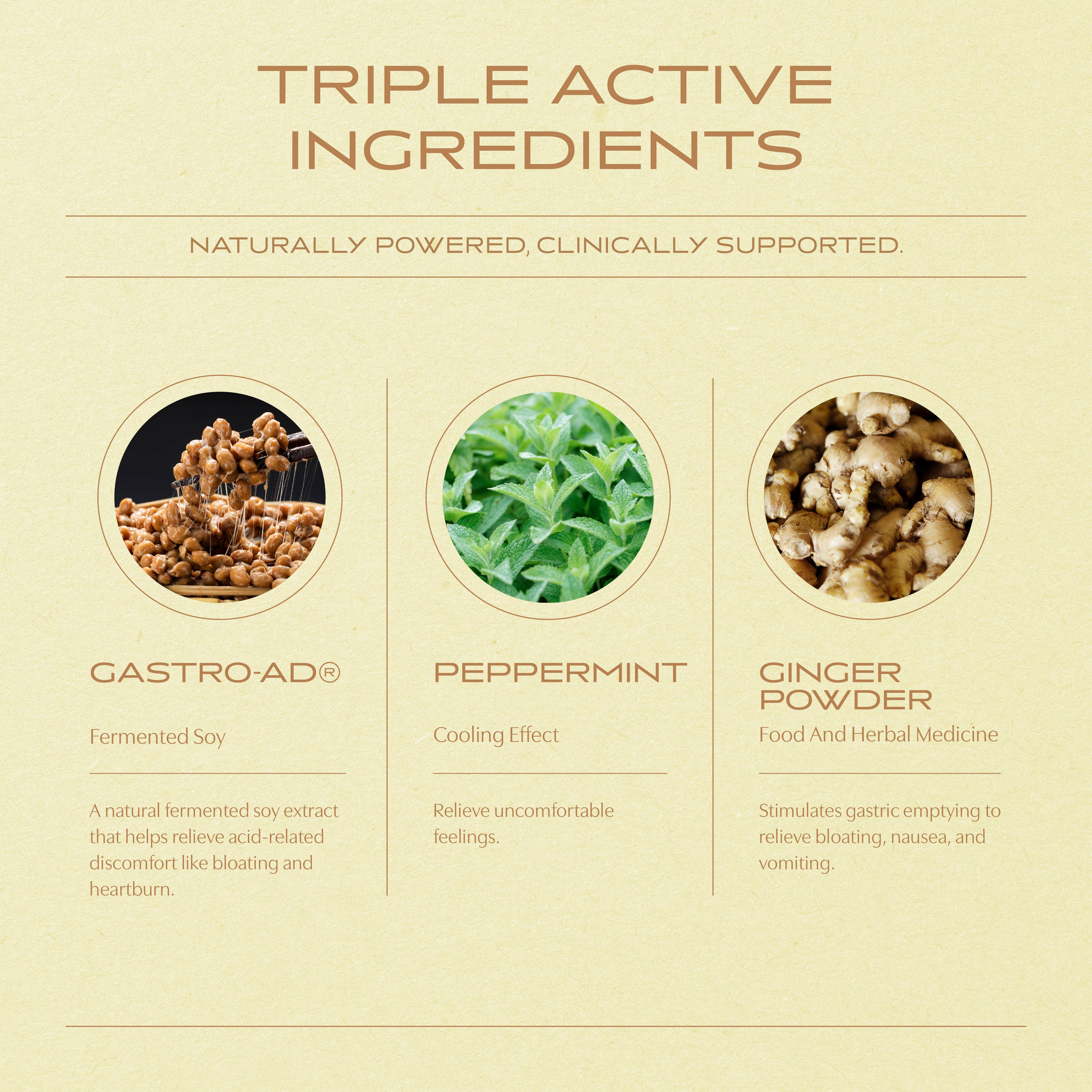 DR Digestive Remedy